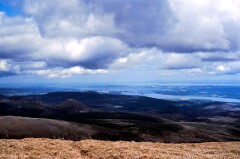 1989_CEH6371_F375