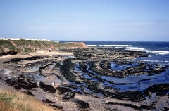 1980_CEH6752_H021