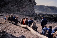 1980_CEH6753_H022