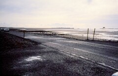 1990_0008145_Q183