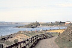 1990_0008151_Q189
