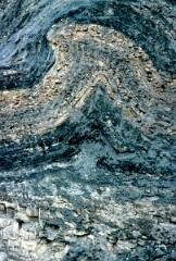 1982_CEH3739_A313