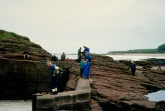 1982_CEH3740_A314