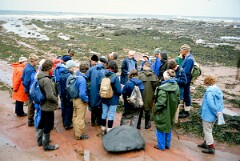 1982_CEH3741_A315