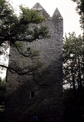 1985_CEH3836_A466