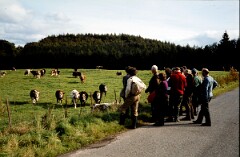 1980_CEH3692_A075