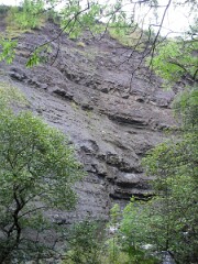 DSCF0168