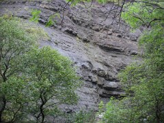 DSCF0169