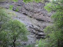 DSCF0170