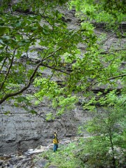 DSCF0172