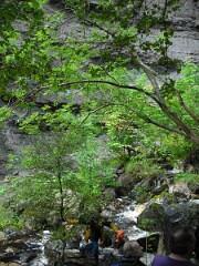 DSCF0174