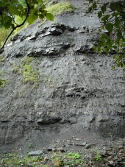 DSCF0175