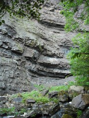 DSCF0177