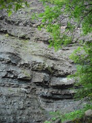 DSCF0178