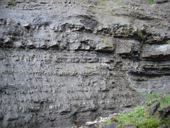 DSCF0179