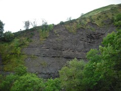 DSCF0180