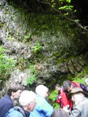 DSCF0188