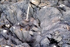 1986_CEH5414_D109