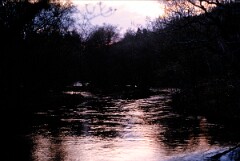 1986_CEH5425_D120