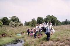 1997_CEH4145_A796