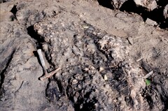 1991_CEH4044_A693