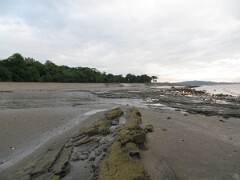 IMG_0995
