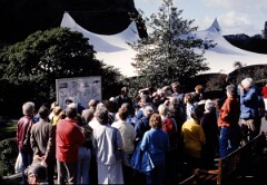 1986_CEH3886_A533