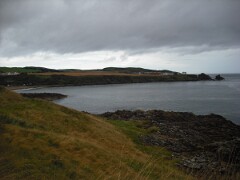 IMG_ 511
