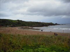 IMG_ 514