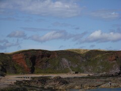 IMG_ 517
