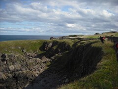 IMG_ 534