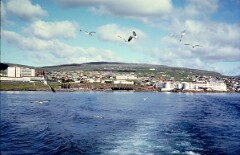 1982_0004986_M188