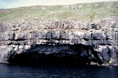 1982_0004991_M193