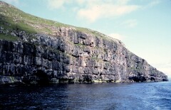 1982_0004992_M194