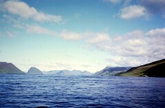 1982_0004993_M195