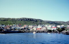1982_0004995_M197