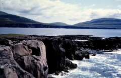 1982_0004997_M199