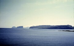 1982_0005000_M202