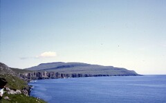 1982_0005001_M203