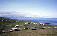 1982_0005003_M205