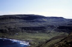 1982_0005005_M207