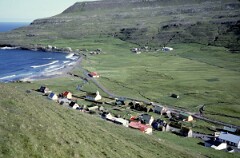 1982_0005006_M208