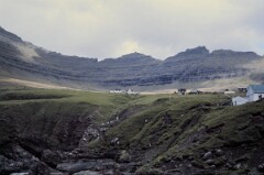 1982_0005016_M217