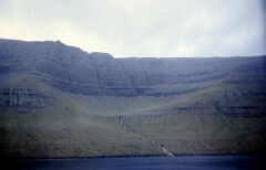 1982_0005018_M219