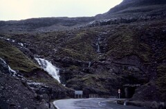 1982_0005019_M220