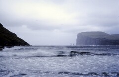 1982_0005025_M226