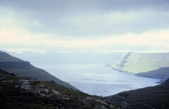 1982_0005030_M231