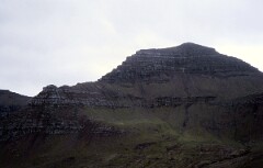 1982_0005031_M232