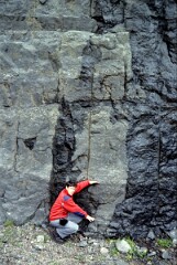1982_0005039_M240