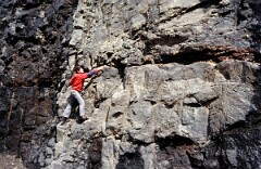 1982_0005041_M242
